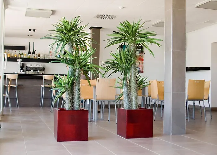 酒店 Grupoandria Platja Gran 休达德亚