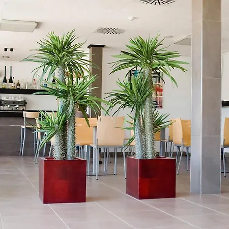 فندق Grupoandria Platja Gran ثيوداديلا