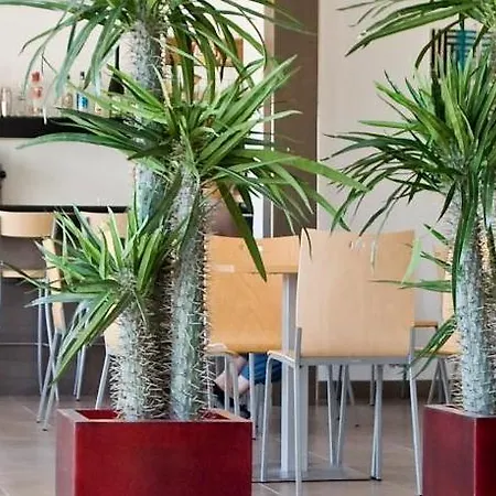 Grupoandria Platja Gran 3* シウタデリャ